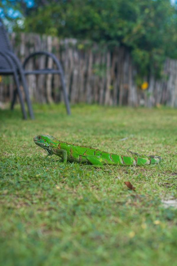 Ciamat Camp Hotel Santo Amaro do Maranhao ภายนอก รูปภาพ