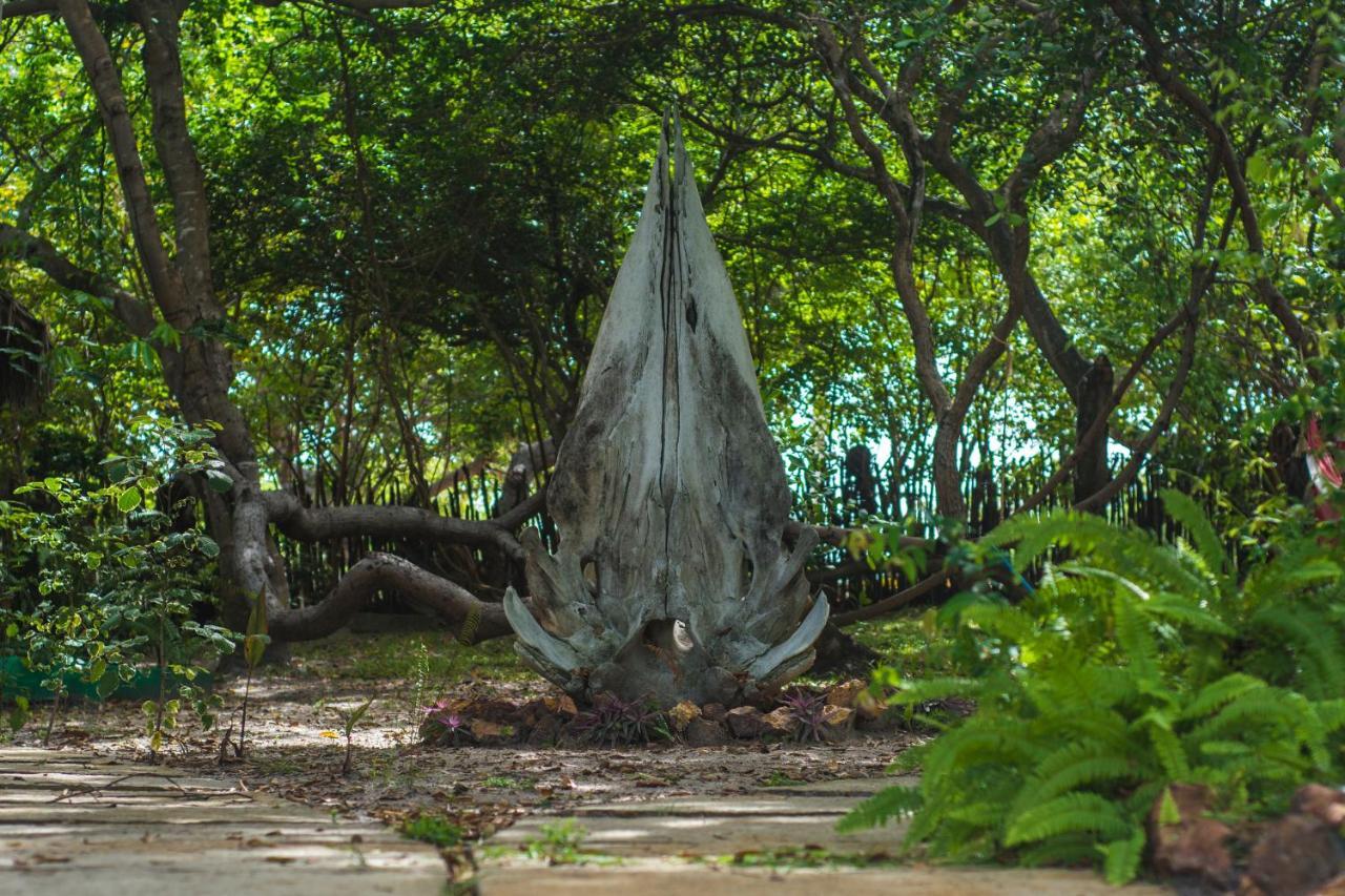 Ciamat Camp Hotel Santo Amaro do Maranhao ภายนอก รูปภาพ