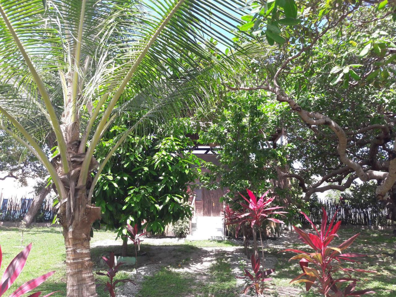 Ciamat Camp Hotel Santo Amaro do Maranhao ภายนอก รูปภาพ