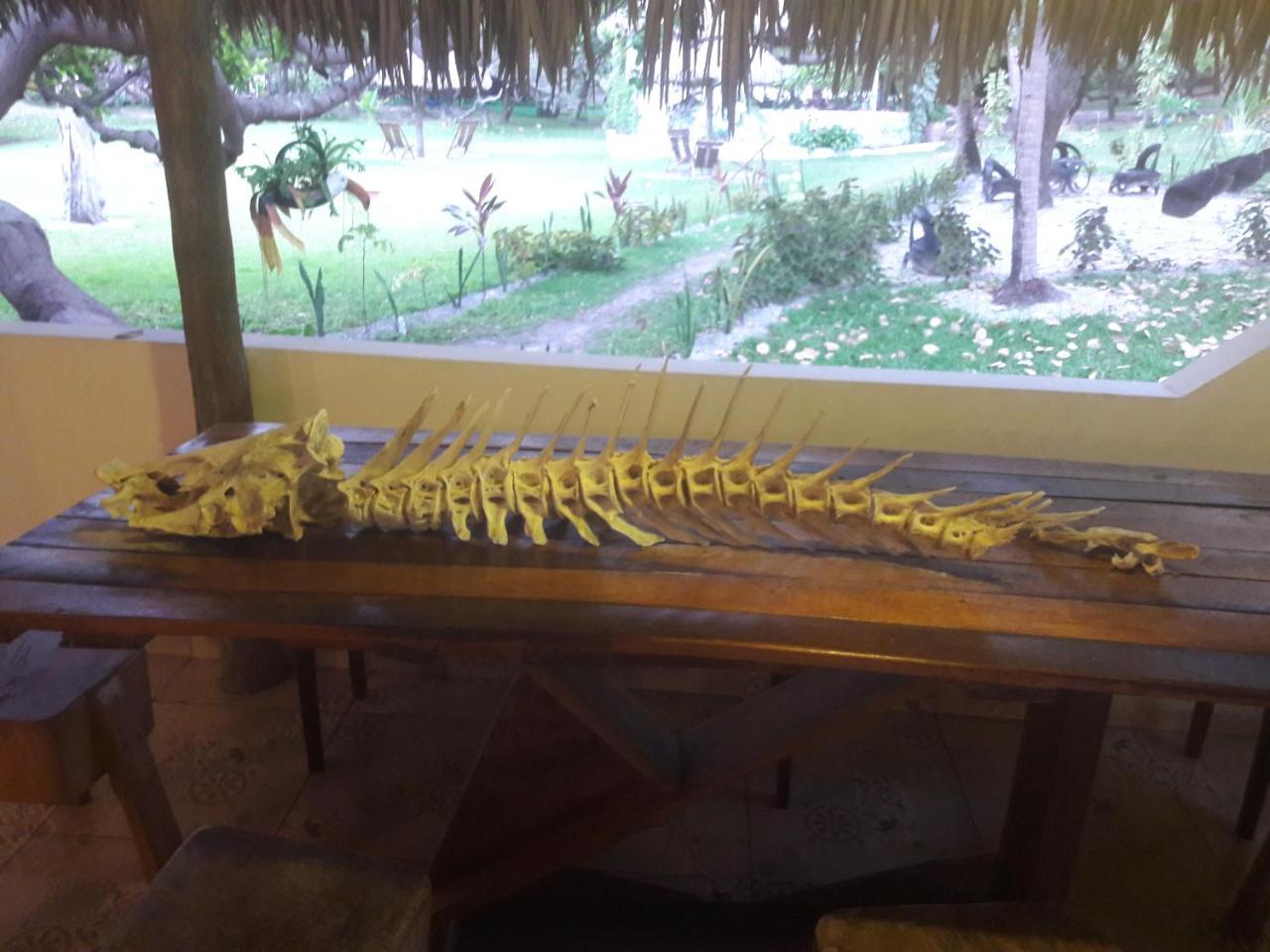 Ciamat Camp Hotel Santo Amaro do Maranhao ภายนอก รูปภาพ